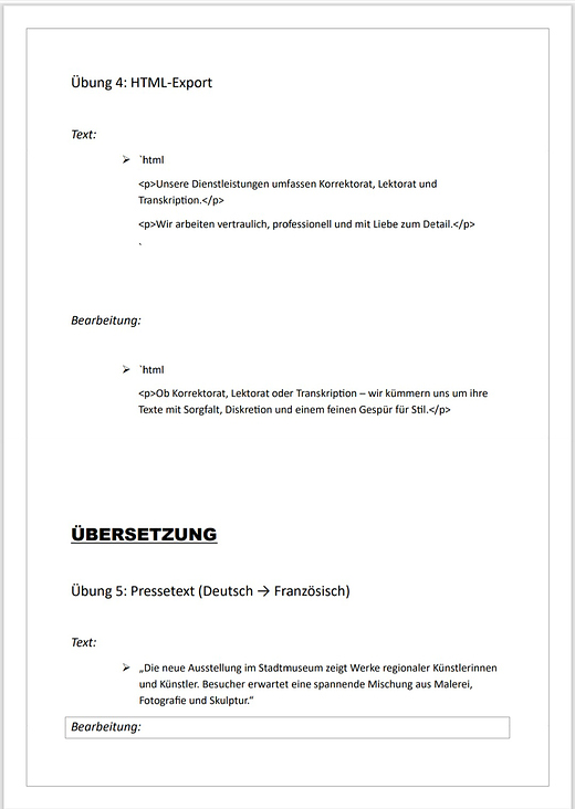 Portfolioauswahl – Eigene Übungsprojekte 2025