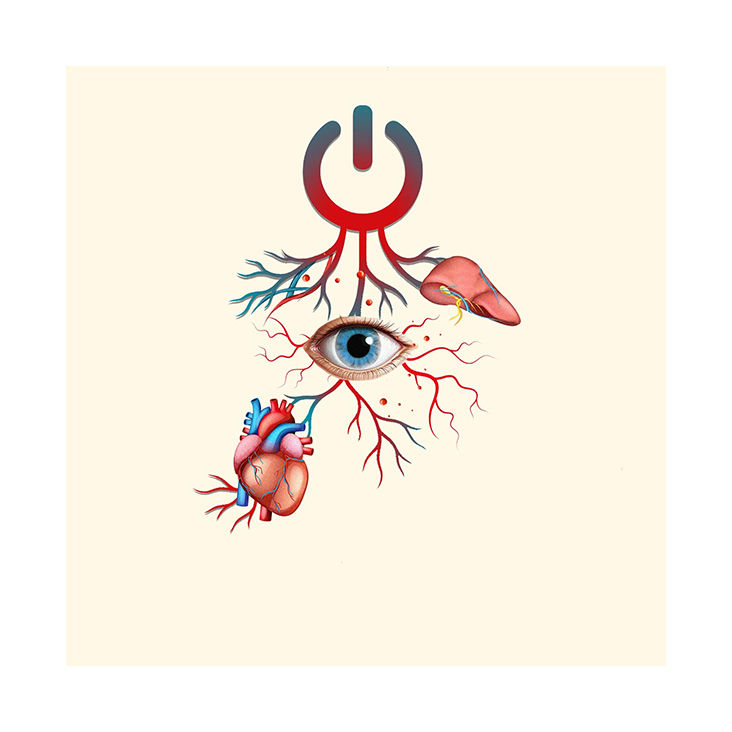 Auge, Herz, Auschaltknopf, Leber, Adern, Venen