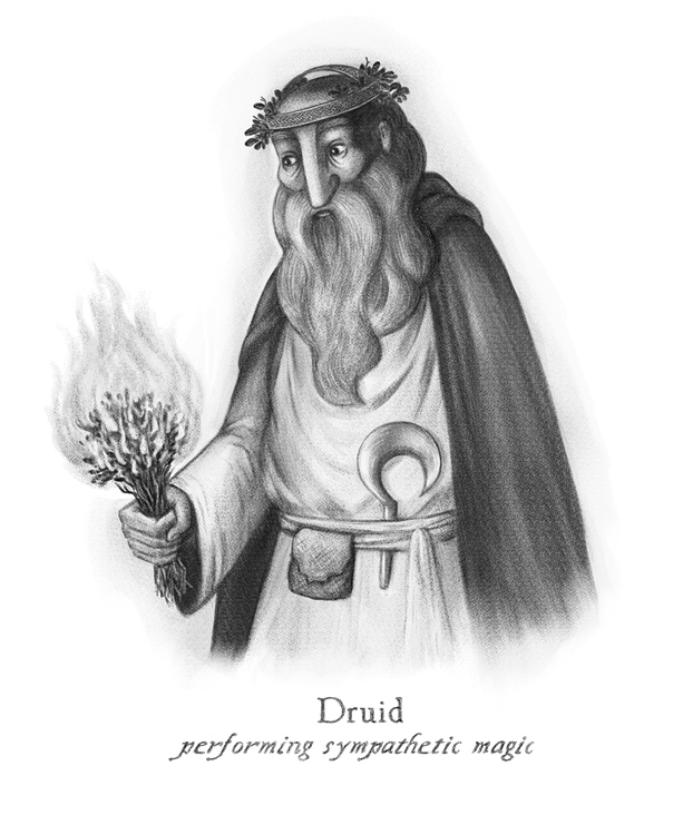 Druid