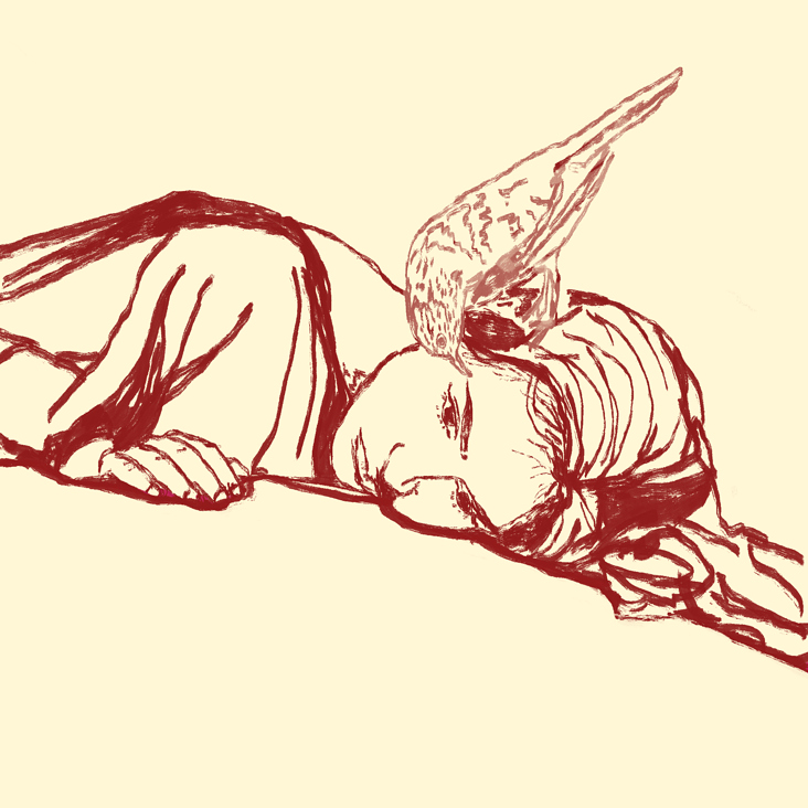 vogel