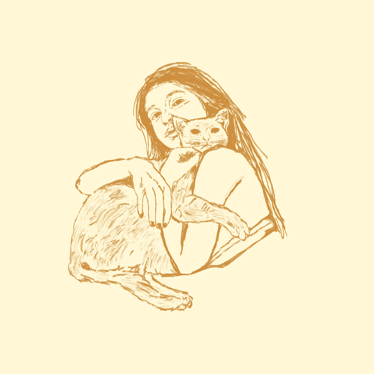 katze