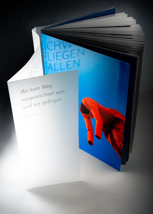 Umschlag: Paperback mit transparentem Schutzumschlag, weiss bedruckt