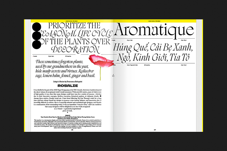The World’s Best Typography, Typography 46