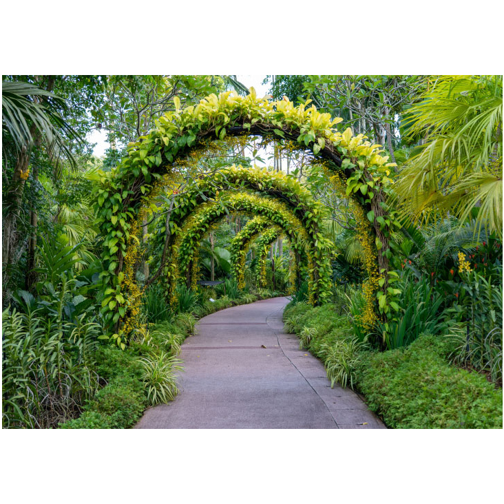 Bildbearbeitung für Webseiten