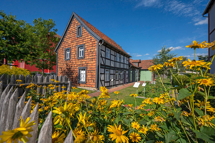 Bildbearbeitung für Museumsseiten