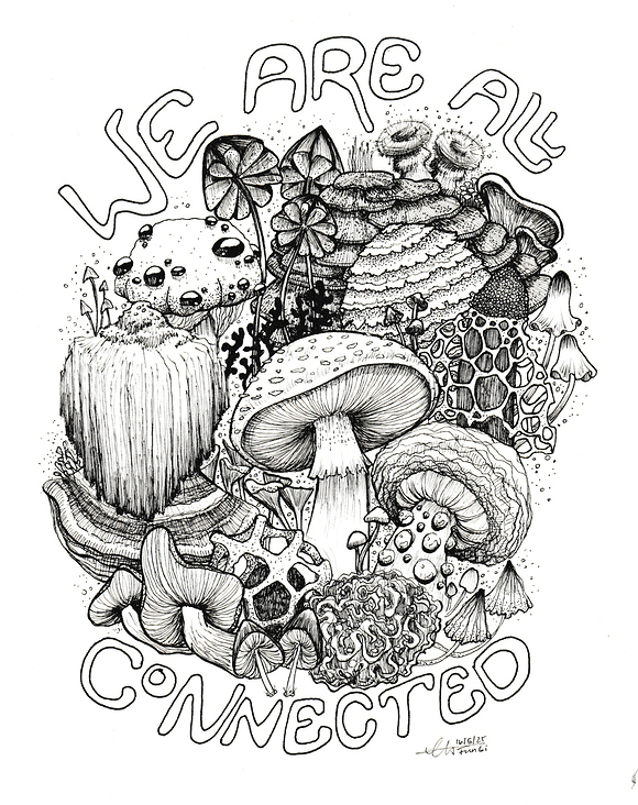 We are all connected