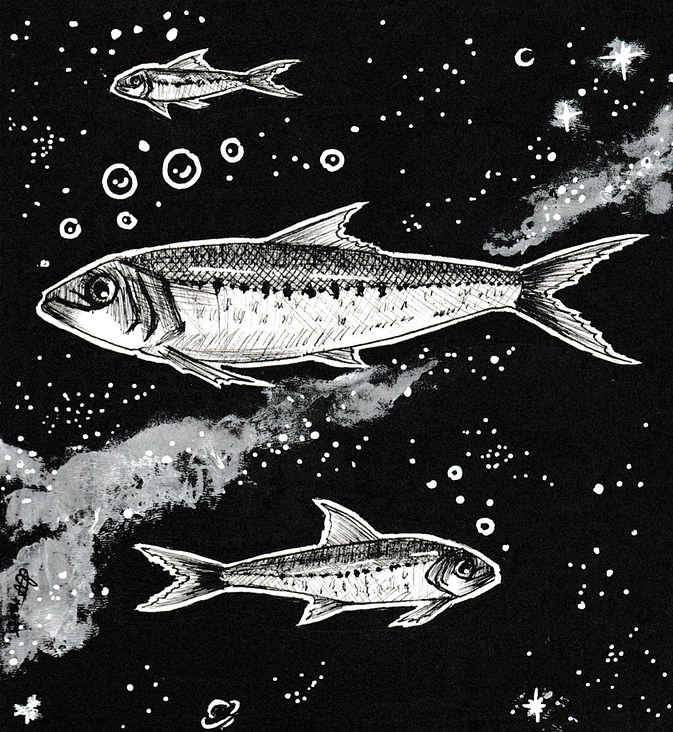 Space Sardine