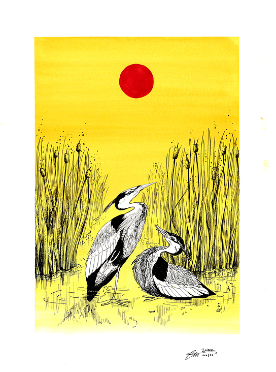 Reiher in der Abendsonne (Serie Heimat)