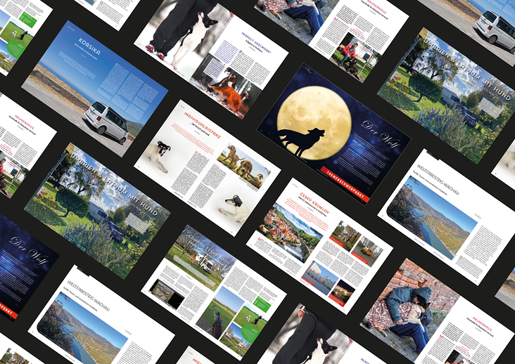 Referenzen Text & Layout