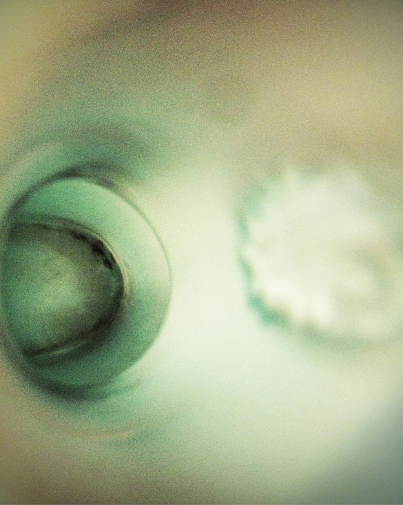 freie Kunstfotografie | Titel: „Gefühlte Töne