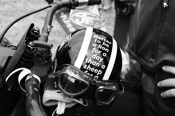 Better to be a Lion for a day