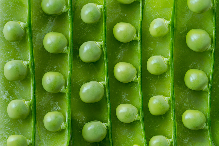 foodfotografie-erbsen-studio-leipzig-carolin-reschke-3