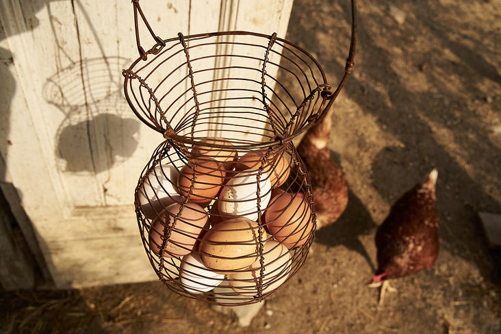 foodfotografie-farm-toscana-lifestyle-leipzig-carolin-reschke-5