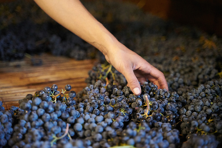 foodfotografie-farm-toscana-lifestyle-leipzig-carolin-reschke-6