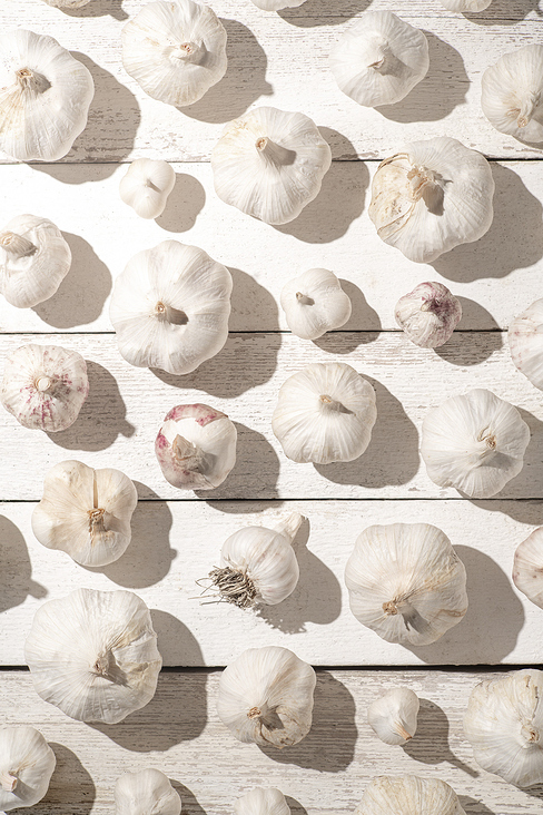 foodfotografie-knoblauch-studio-leipzig-carolin-reschke-4