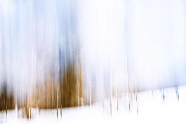 Wald2.8.3.18yellowcorner