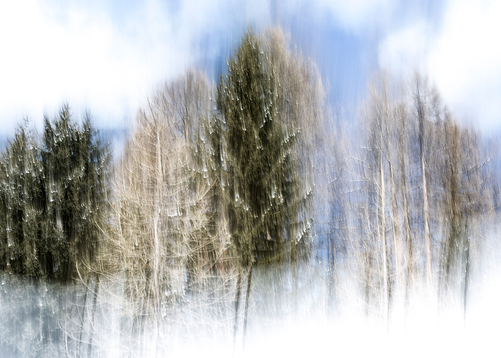 Wald6.8.3.18yellowcorner