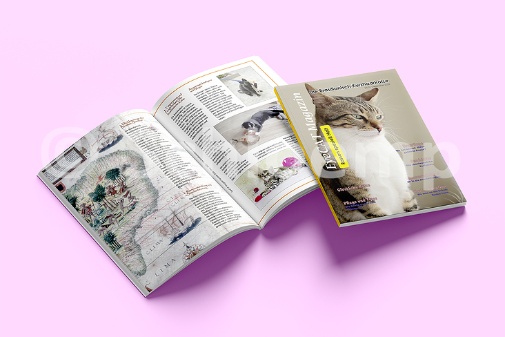 Ein fiktives Magazin mir einer meiner Lieblingsthemen.