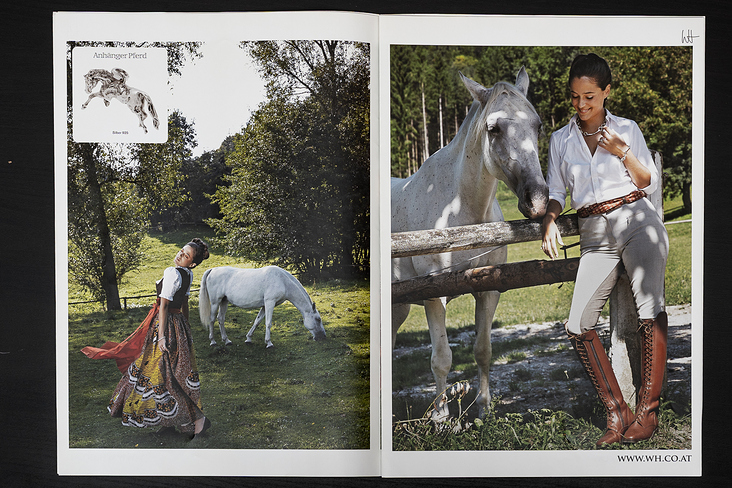 Silver by Wolfgang Hufnagl