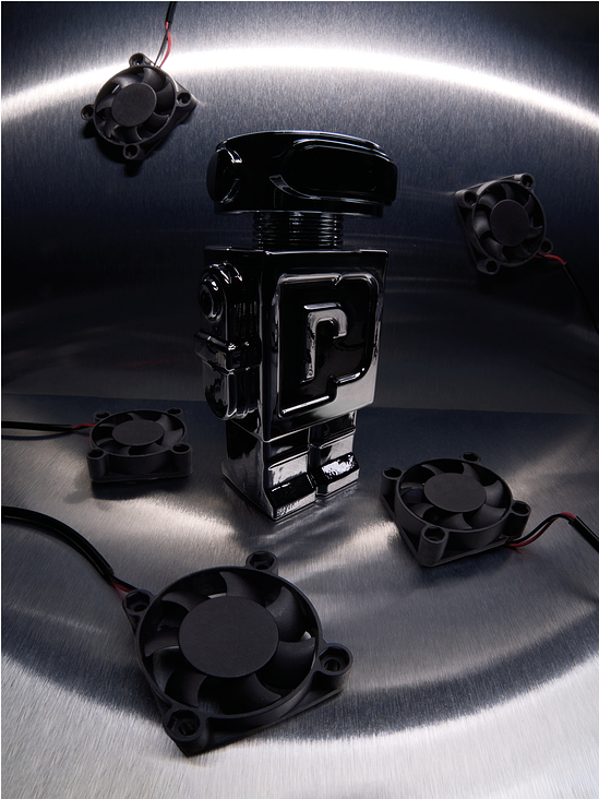 Still life for Schön! Online: Beauty Bugs