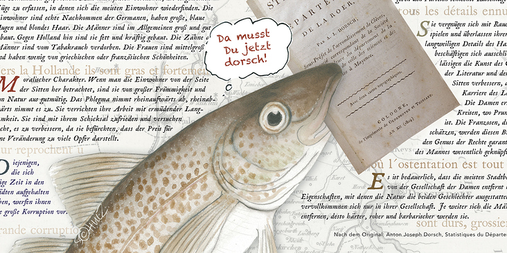 Der Dorsch am Niederrhein