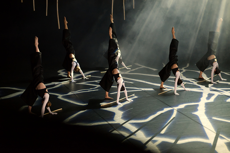 Tänzerinnen und Tänzer des Balletts Halle