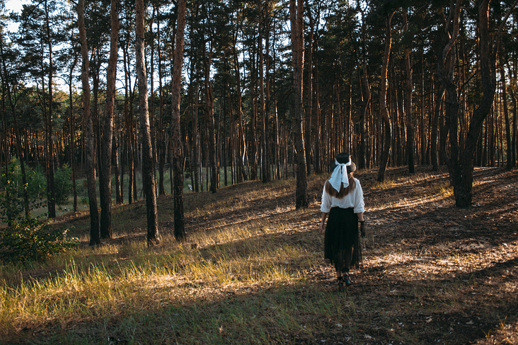 forest