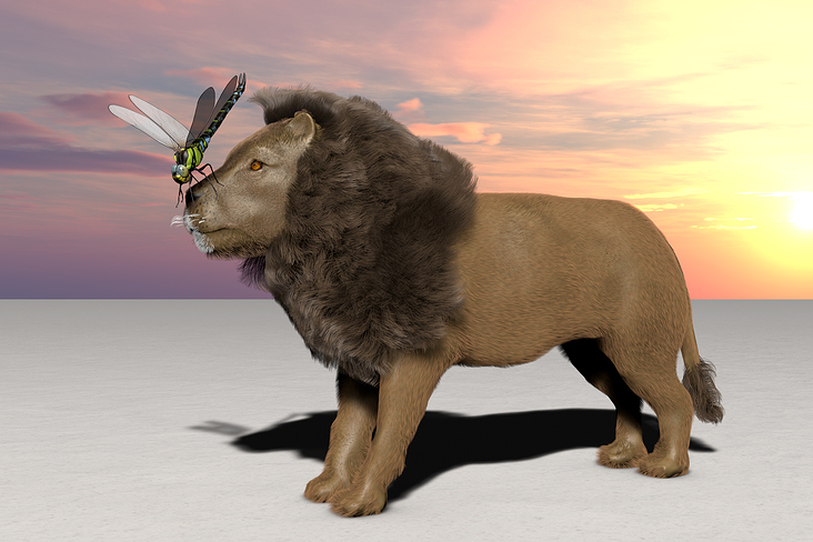 Löwe