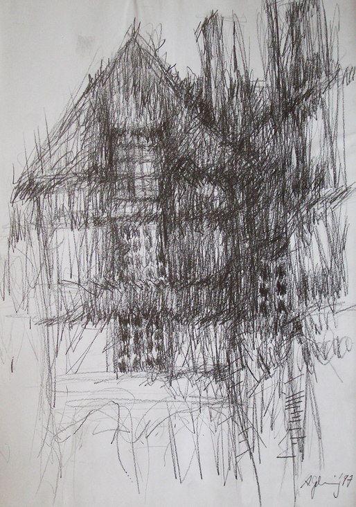 Haus 01