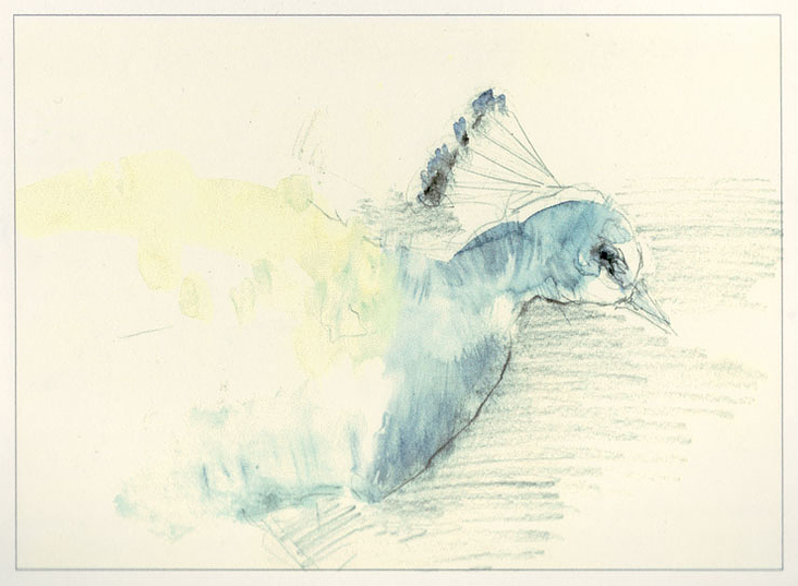 zeich 04