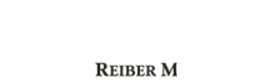 “Die Berater-Agentur” from Reiber Marketing
