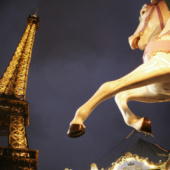 «Urban, Landscape & Wildlife» von Sarah Sandring