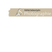 “iS Photographie” from CS Graphik-Design