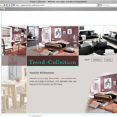 «Websites» de consenza-design