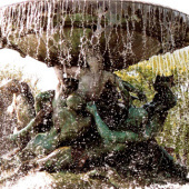 «Fotografie in der Natur» von Sandra Schütz