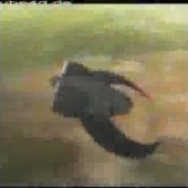 «cube4d» de cube4d