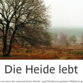 „Die Heide lebt“ von Corinna Heer-Echariaa