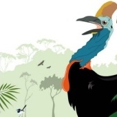 «Abschlussarbeit» von Matthias Schütte