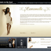 «Static is the Beat» de SwiftLizard Consulting