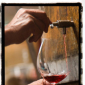 «piemont» de martina braun fotografie & grafikdesign