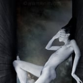 „boxed dreams“ von Anja Millen