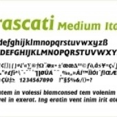 «Fonts» von stockcreator