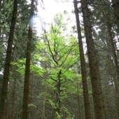 „Photography – Landscapes“ von Jens Oberender