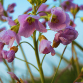 „Fotografie“ von christianebergmann.com