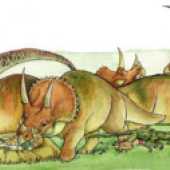 «Sara Otterstätter – Illustration und Grafik» von Sara Otterstätter