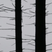 «panorama» de Christine Schulz