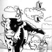 «Sketch-Diary» von Sara Otterstätter