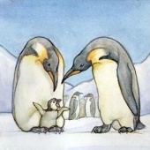 «Tierkinderquizkarten» von Sara Otterstätter