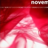 “Kalender 2008” from Lisa Leuci