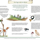 «Walderlebnispfad» von Grafik & Art, Bianka Behrami